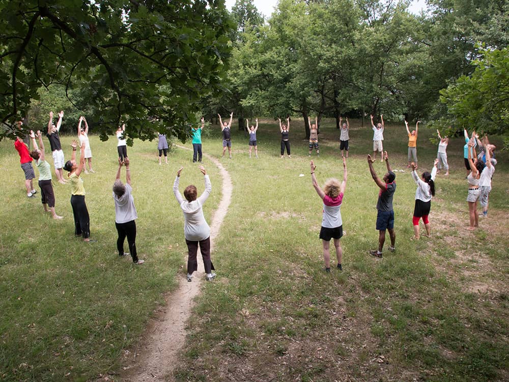 Séance de Qi-Gong à Valence dans la Drôme - L'inspire et le geste