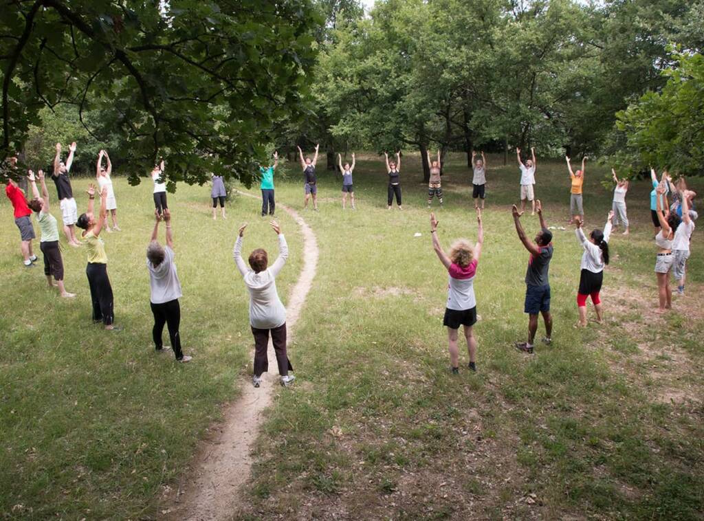 Séance de Qi-Gong en extérieur - L'inspire et le geste - École de Qi Gong à Valence dans la Drôme