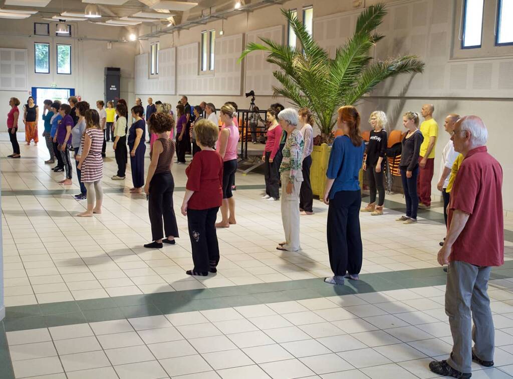 Séance de Qi-Gong - L'inspire et le geste - École de Qi Gong à Valence dans la Drôme