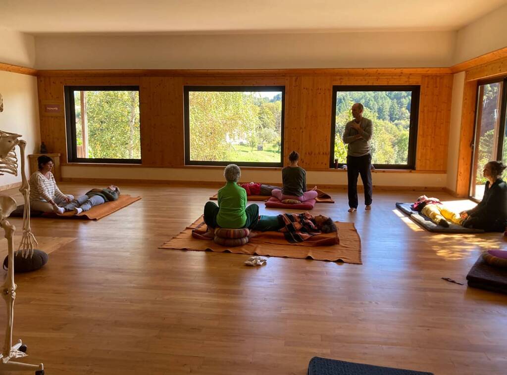 Séance de Qi-Gong - L'inspire et le geste - École de Qi Gong à Valence dans la Drôme