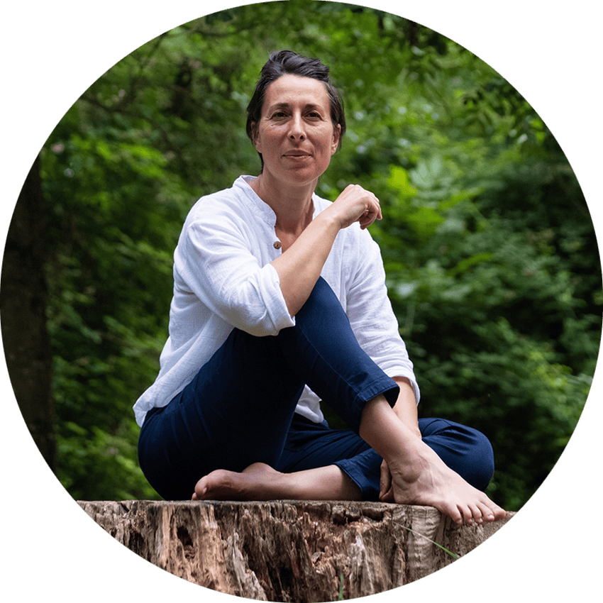 école de qi-gong illustration et calligraphie